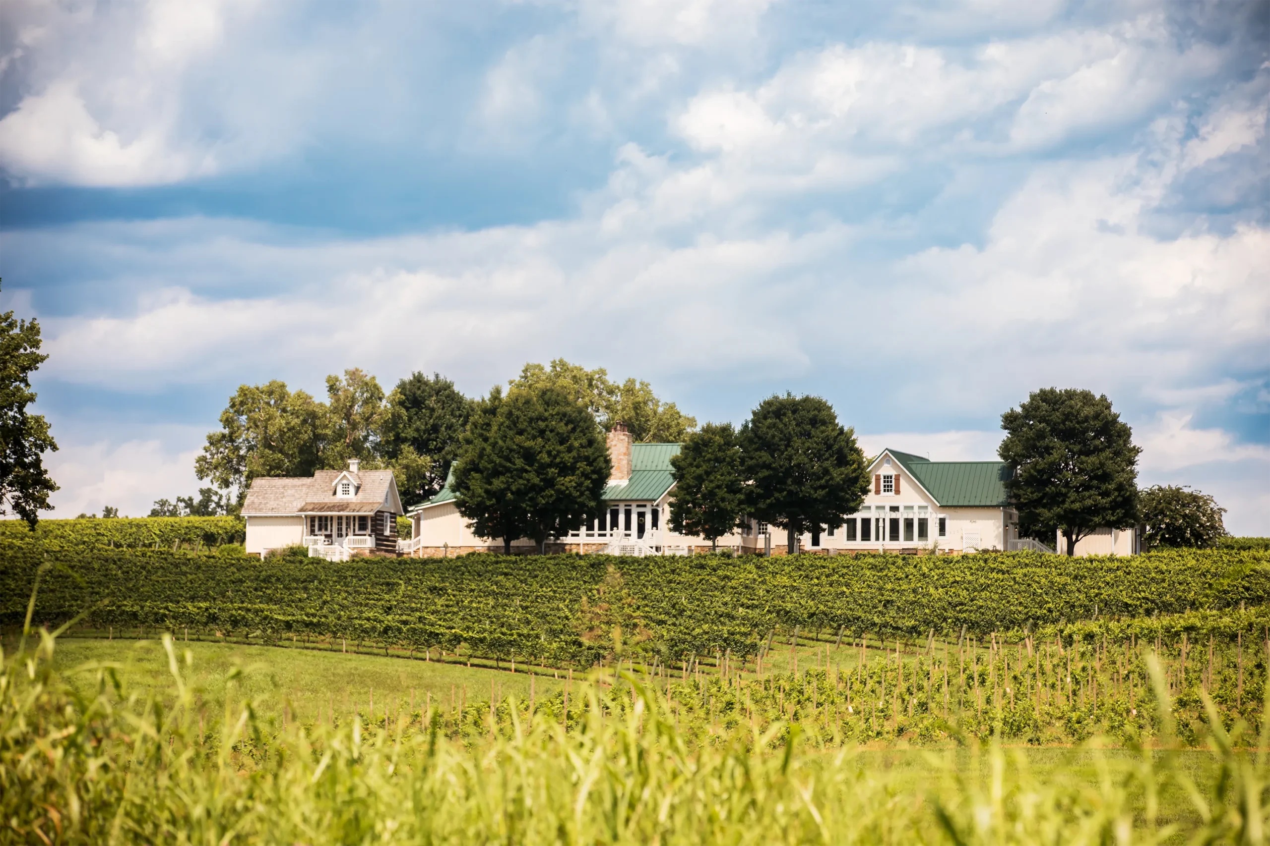 Shelton Vineyards; credit Shelton Vineyards