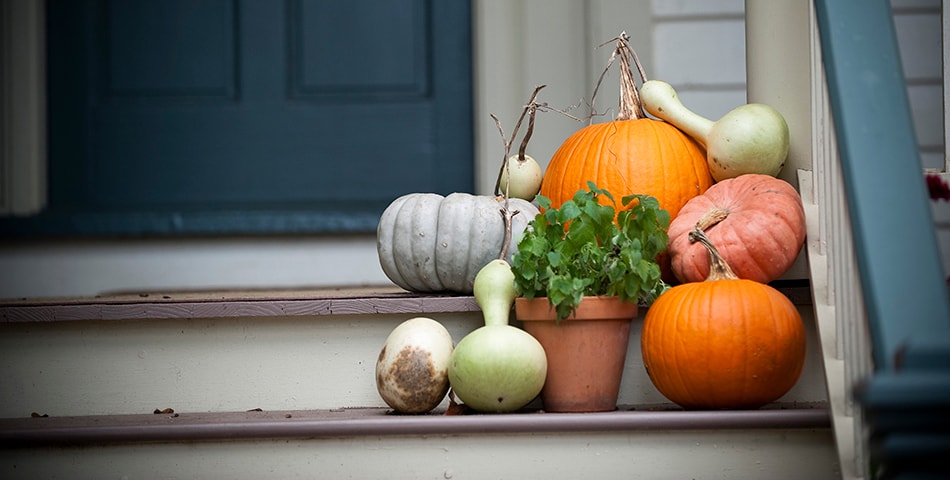 Pumpkins fill a porch in Old Salem