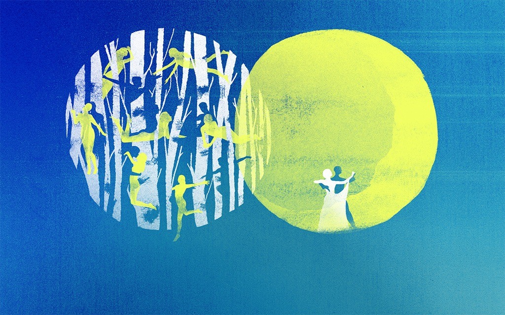 A Little Night Music Photo