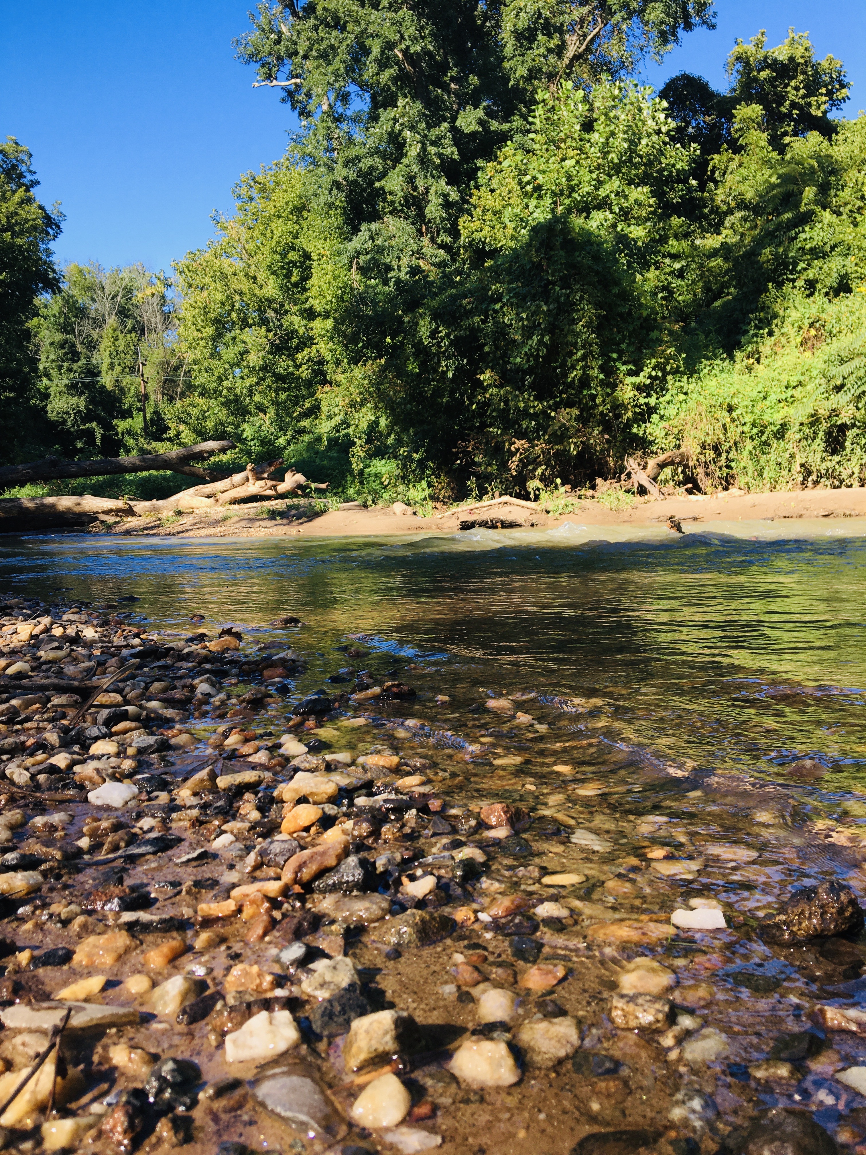 GatewayNP1 GatewayNP1 Photo