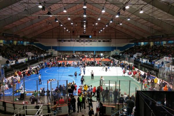 Wrestling Photo 5