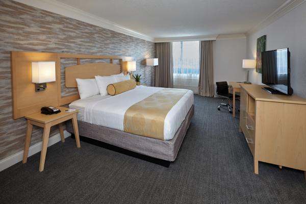 Standard King Guestroom Photo 7