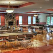 woodland woodland Photo