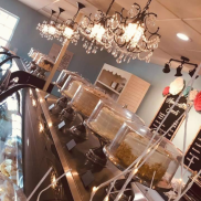 cupcakecuties cupcakecuties Photo