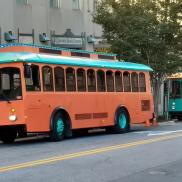 Miss Salem & Sir Winston TROLLEYS Miss Salem & Sir Winston TROLLEYS Photo 2