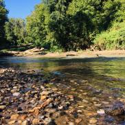 GatewayNP1 GatewayNP1 Photo