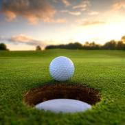 Olde Homeplace Golf Course Golf Ball Olde Homeplace Golf Course Golf Ball Photo