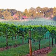 Yadkin Valley Yadkin Valley Photo